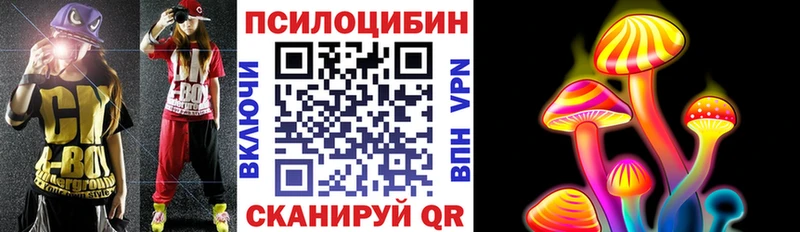 Псилоцибиновые грибы мухоморы  где купить наркотик  Алексин 